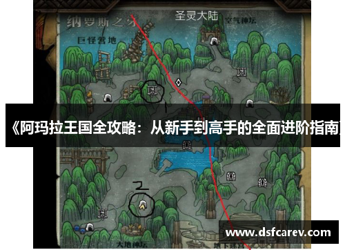 《阿玛拉王国全攻略：从新手到高手的全面进阶指南》
