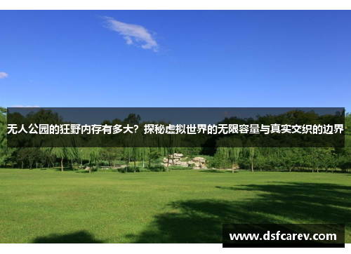 无人公园的狂野内存有多大?探秘虚拟世界的无限容量与真实交织的边界 无人公园的狂野内存有多大?探秘虚拟世界的无限容量与真实交织的边界